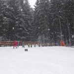 phoca_thumb_m_lye zvody 101 Fotogalerie